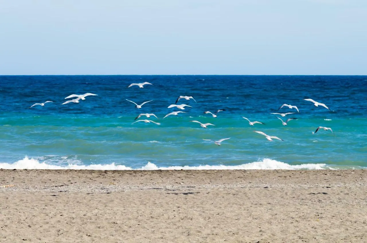 La Palometa Apartment Torre Del Mar 0*,  Spain